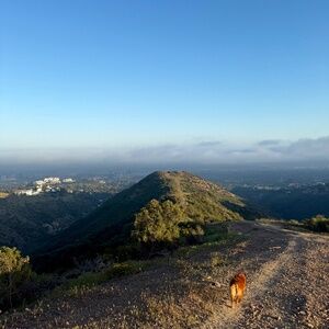 Meet your Posher, Leanne